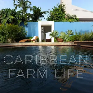 Bed and breakfast 4 Casitas 