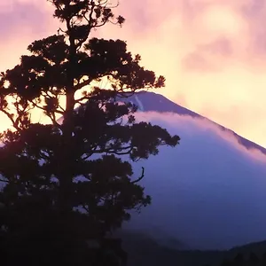 Hananoyado Fukuya 4*, Hakone Japonia